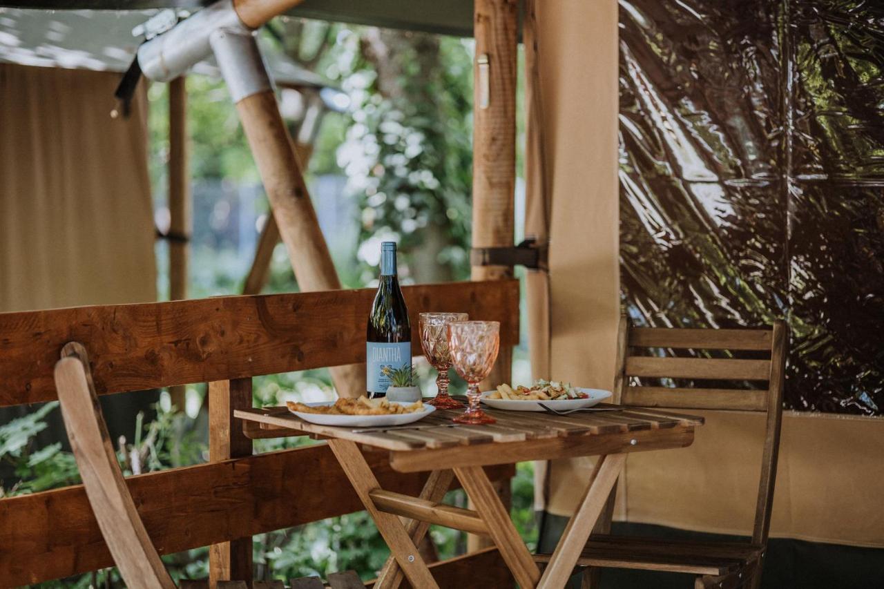 Campsite Sioglamping In Siocamping