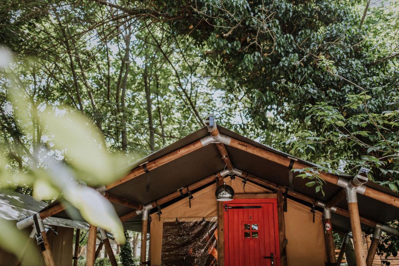 Campsite Sioglamping In Siocamping Siofok